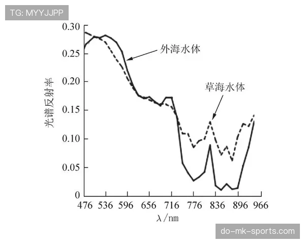 厄德高与芒特无球跑动及空间利用的结构性差异分析